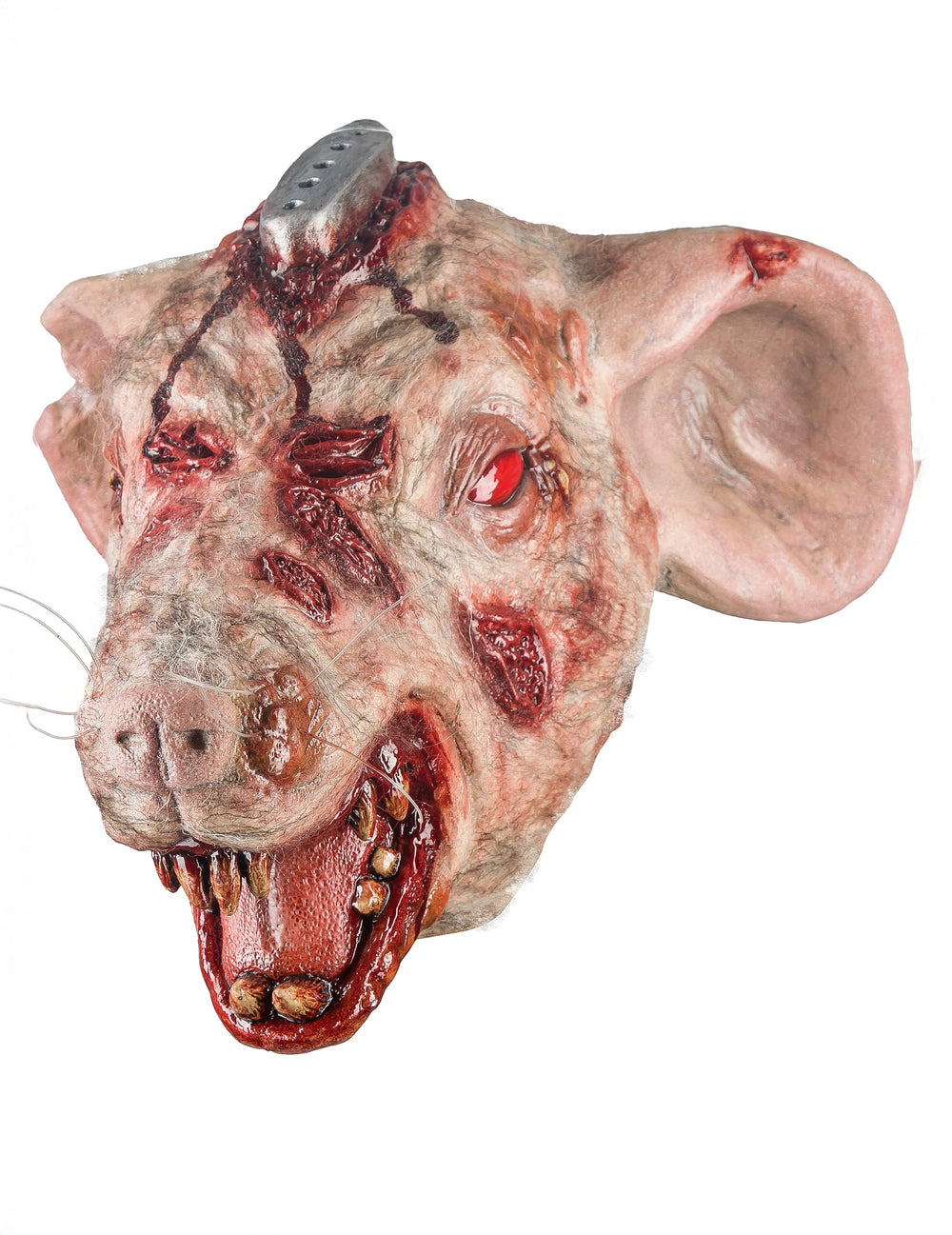 Vue de profil du masque intégral rat de laboratoire