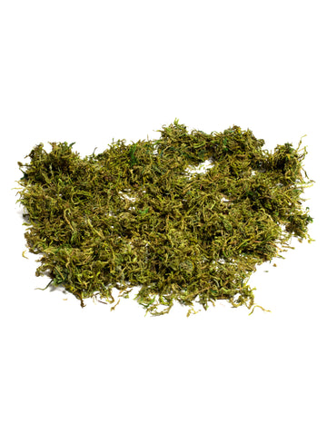 Sušený zeleninový mech 50 g pro přírodní dekoraci