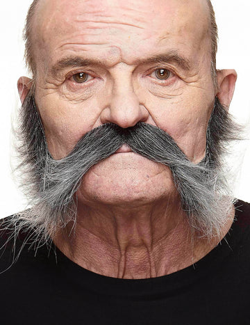 Moustache avec pattes grisonnante pour homme gris et noir