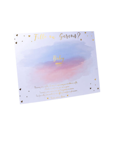 Panneau jeu fille ou garçon pour gender reveal party rose et bleu avec stickers