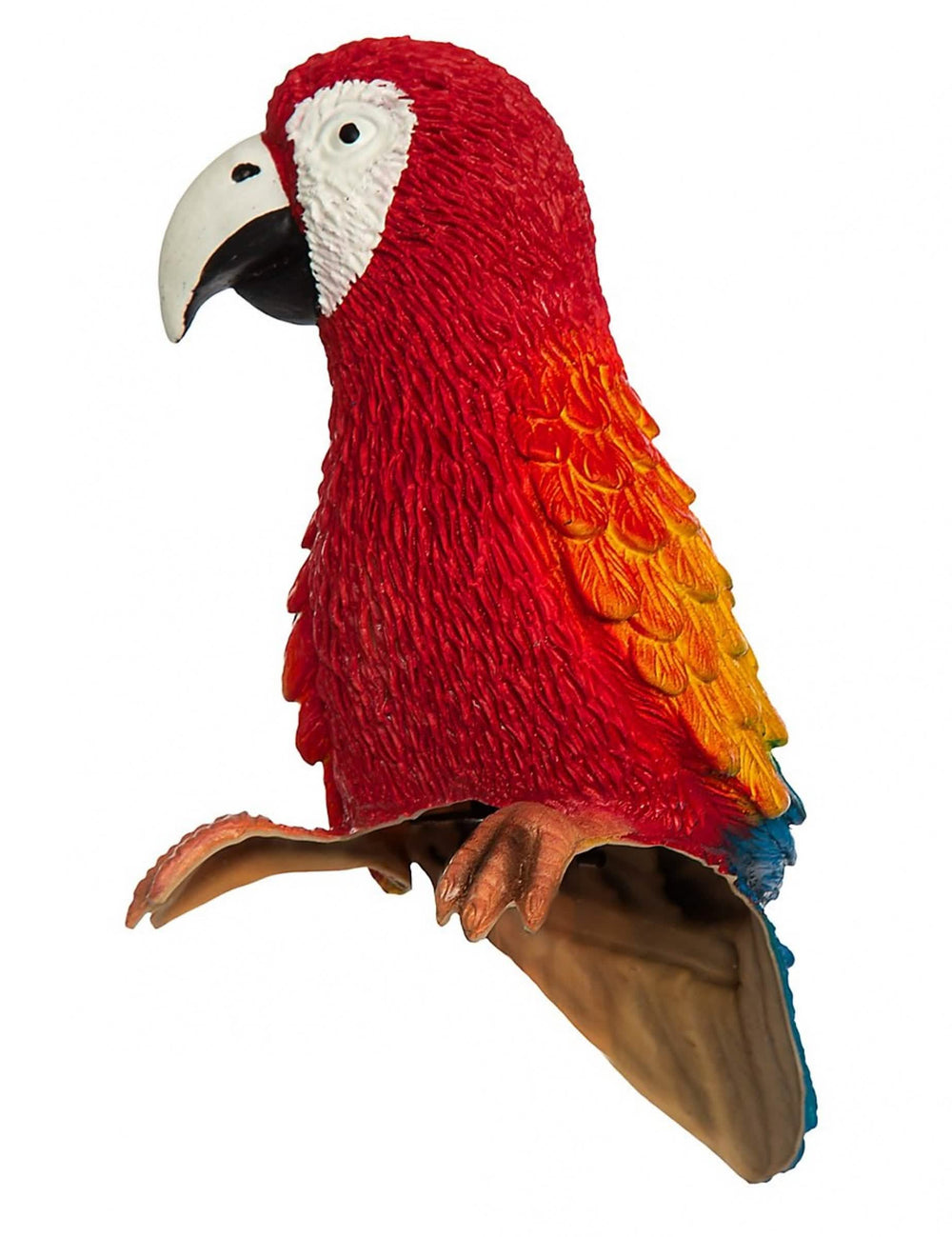 Boční pohled na papouška Rosalinda Fifi Brindacier