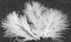 Plumes de décoration pour mariage blanches
