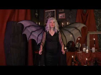 Ailes géantes chauve-souris adulte