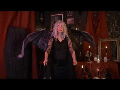 Obří křídla dospělého černého havrana