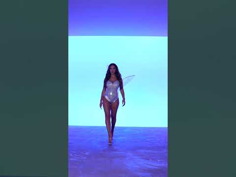 Ailes de fée iridescentes adulte