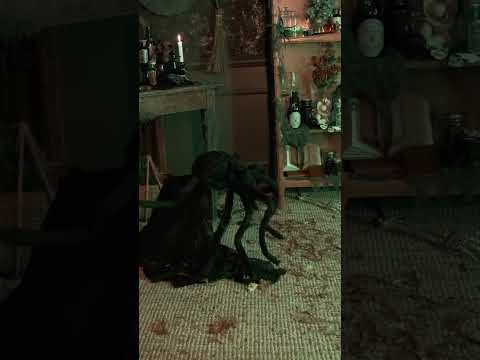 Araignée animée sauteuse 50 cm