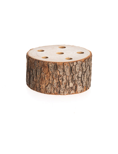 Rondin de bois support pour fleurs séchées pour décoration naturel à 6 trous