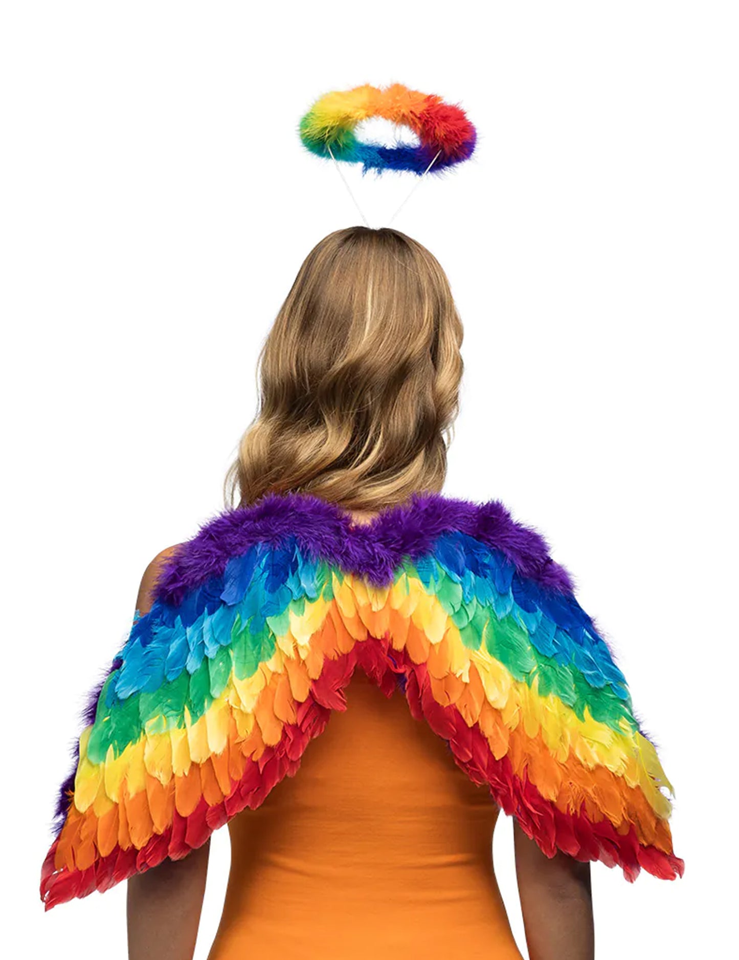Set d'ange arc en ciel adulte