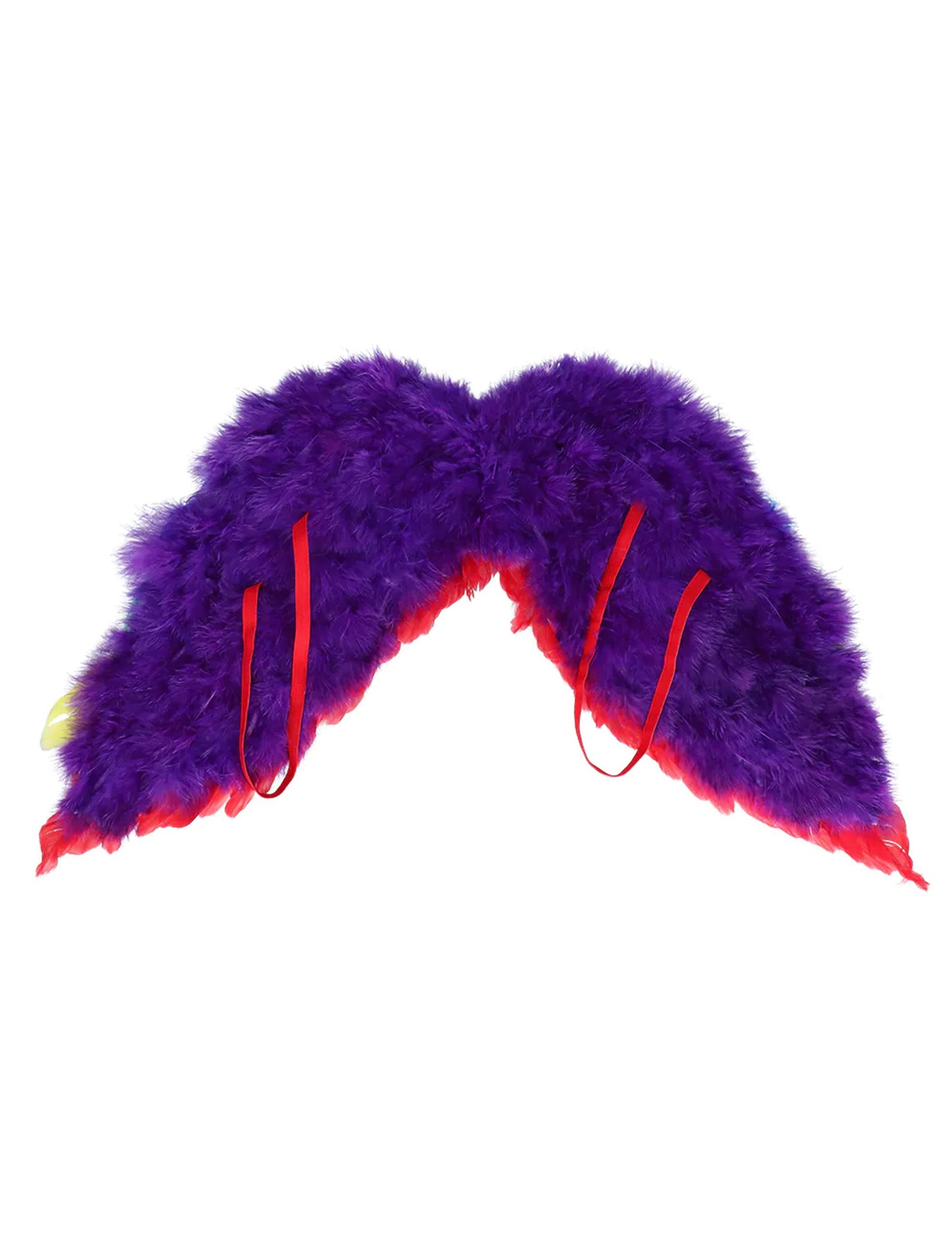 Set d'ange arc en ciel adulte