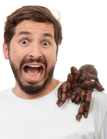 Dospělá tarantule na rameni