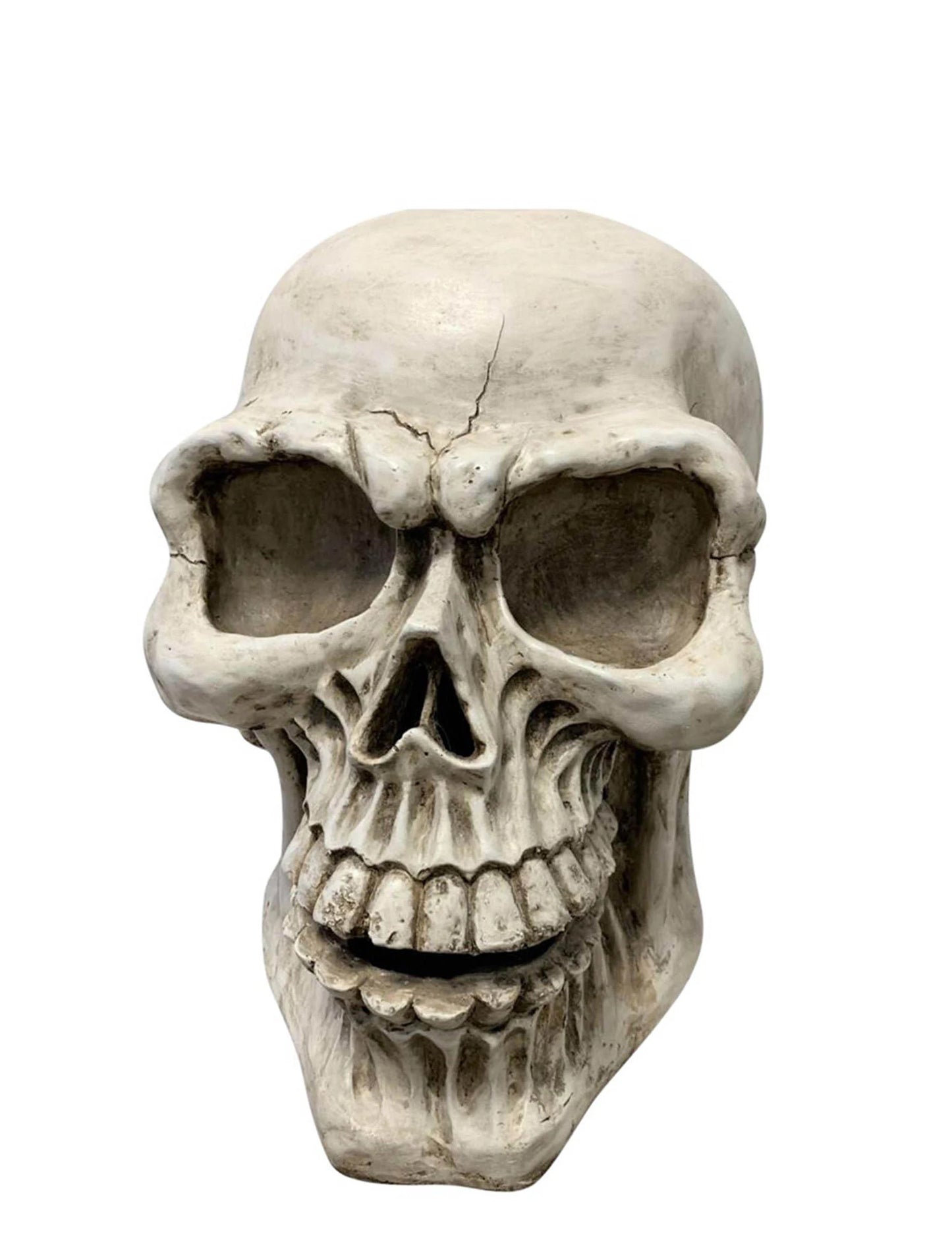 XXL Lebka 63 cm v hořčíku