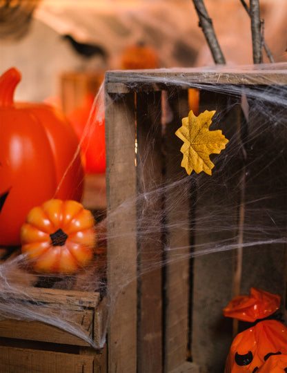 Détail d'une feuille d'automne sur une caisse de la toile d'araignée Halloween blanche