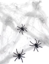 Bílá pavučina s pavouky 20 g Halloween