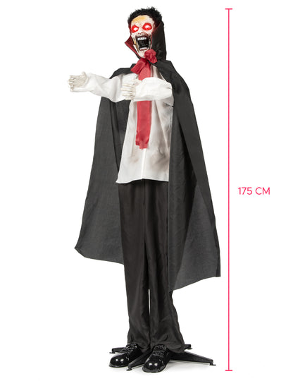 Upíří prokletí anime 175 cm