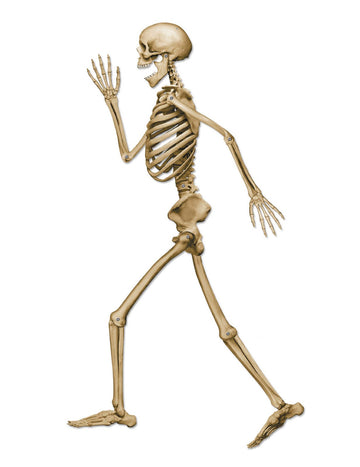 Béžová halloweenská dekorace s chodící kostlivcem 94 cm